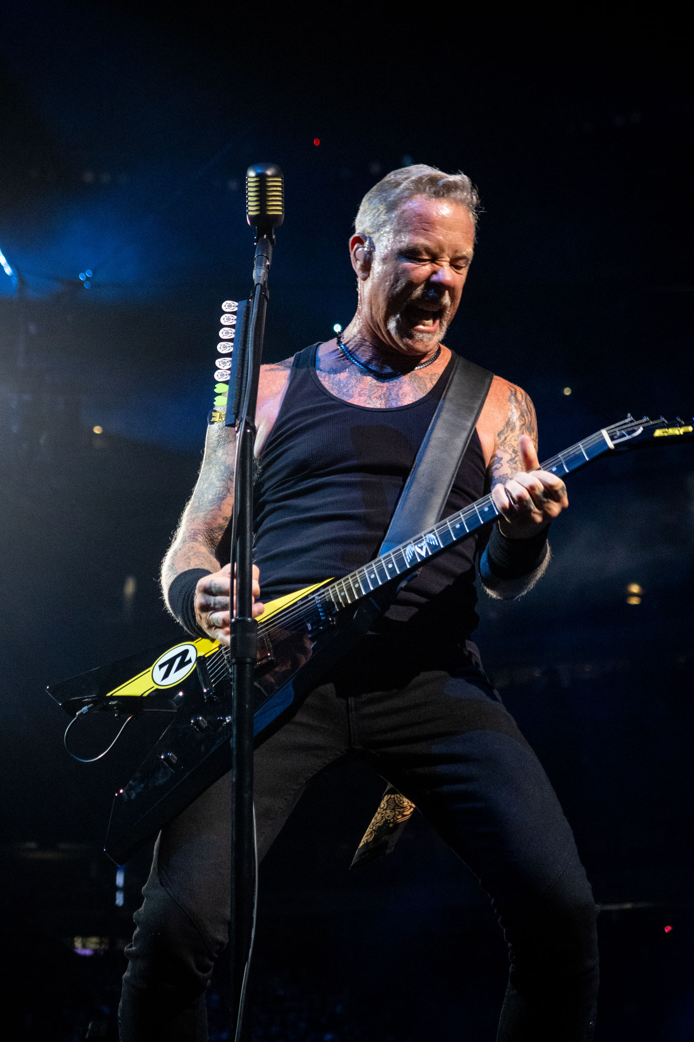 James Hetfield : Metallica